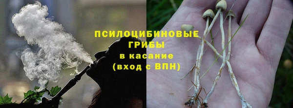 молекула духа Дмитровск