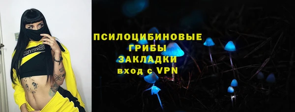 молекула духа Дмитровск