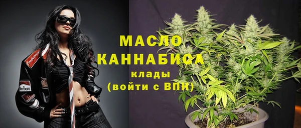 молекула духа Дмитровск