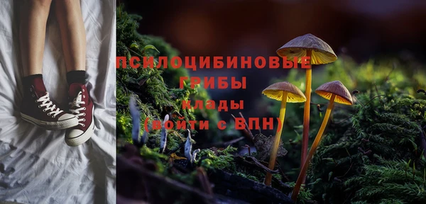 ешки Дмитров