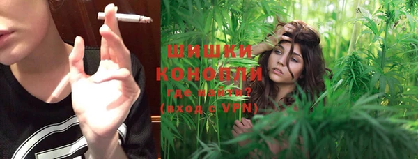 молекула духа Дмитровск