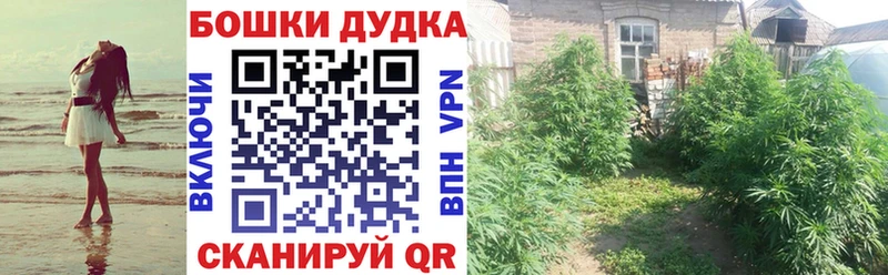 Купить закладки  Североуральск  Канабис индика 